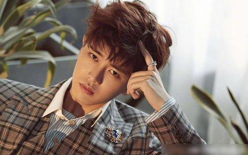 娱乐吃瓜蜀黍任嘉伦